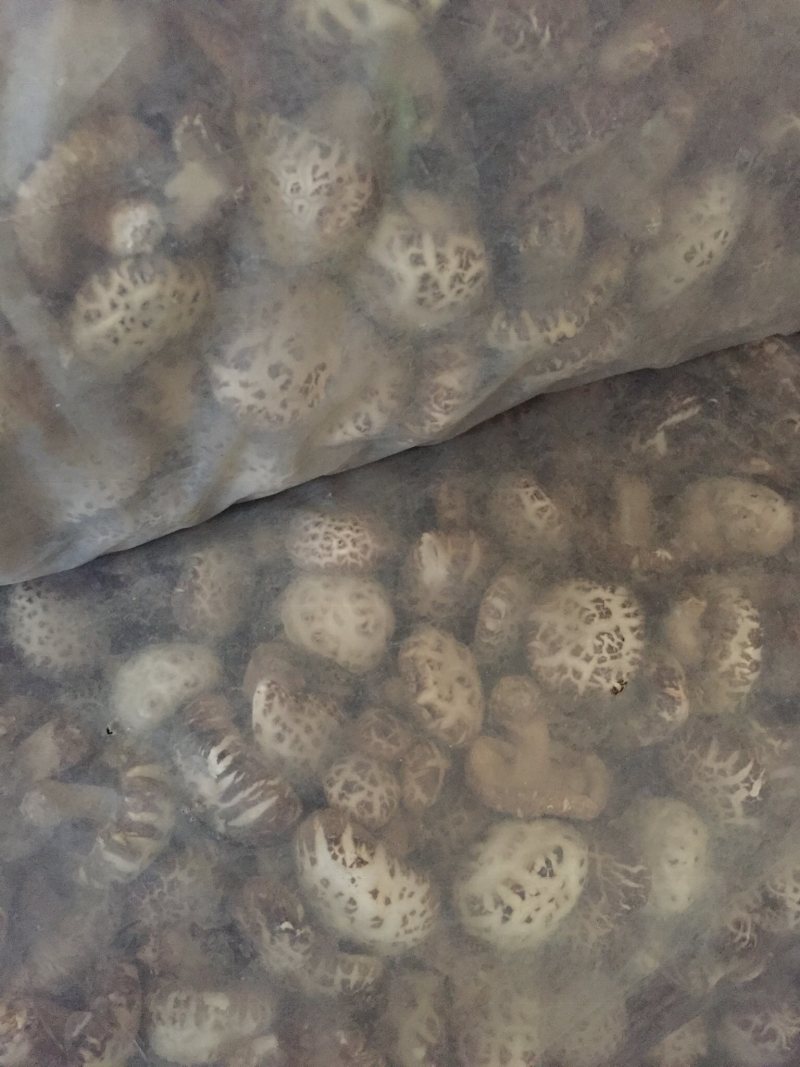 花菇泌阳白花菇干货4-7公分肉厚冬菇带脚花菇原产地批发