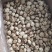 花菇泌阳白花菇干货4-7公分肉厚冬菇带脚花菇原产地批发