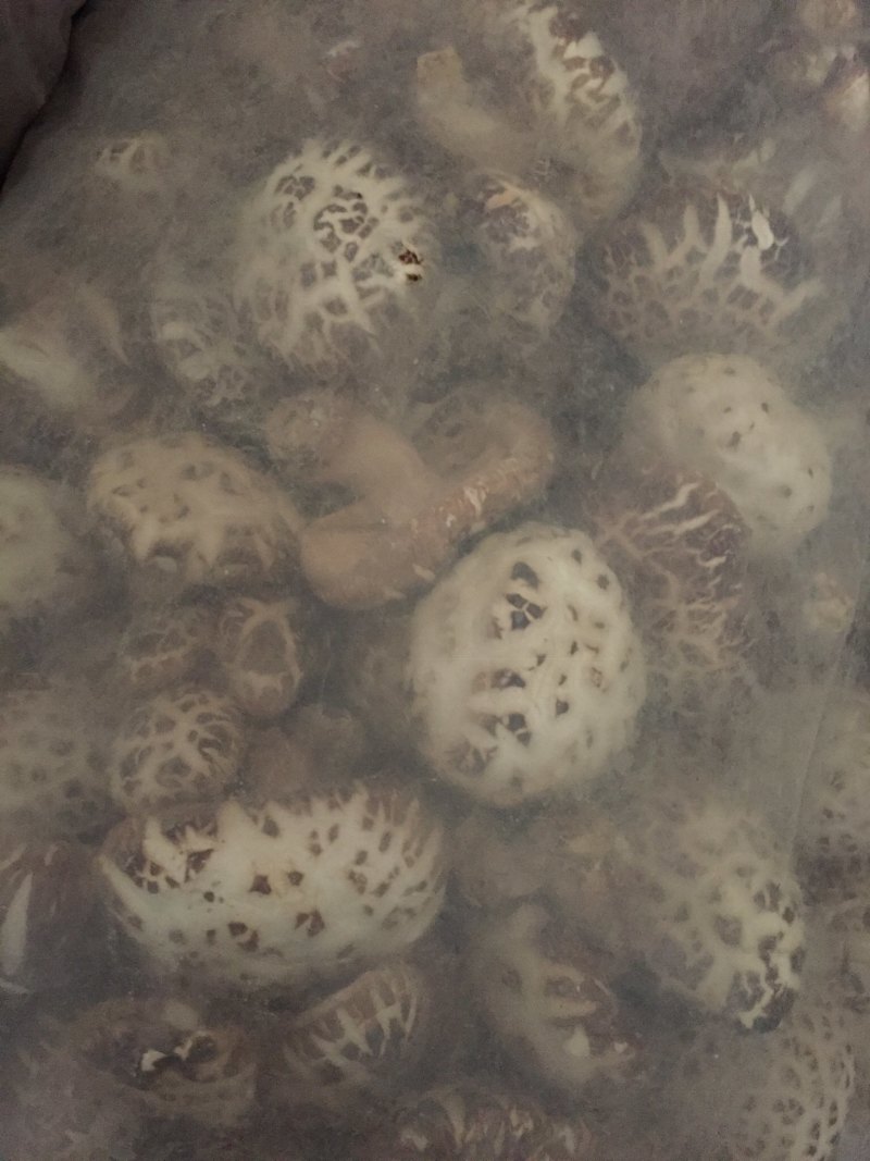 花菇泌阳白花菇干货4-7公分肉厚冬菇带脚花菇原产地批发