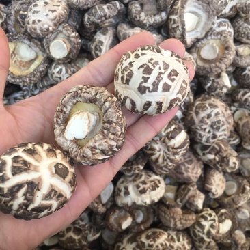 【有新货】花菇干货肉厚冬菇剪脚冬季花菇肉质肥美