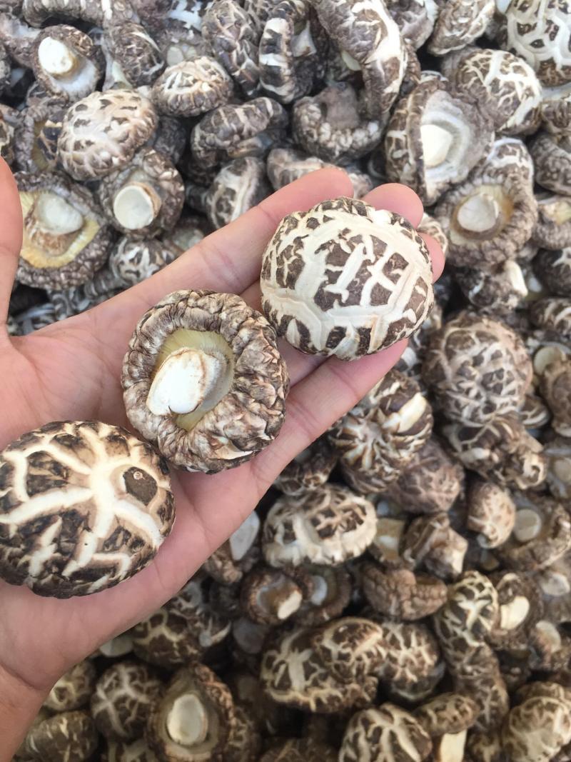 【有新货】花菇干货肉厚冬菇剪脚冬季花菇肉质肥美