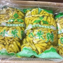 云南小米辣泡椒箱装野山椒批发