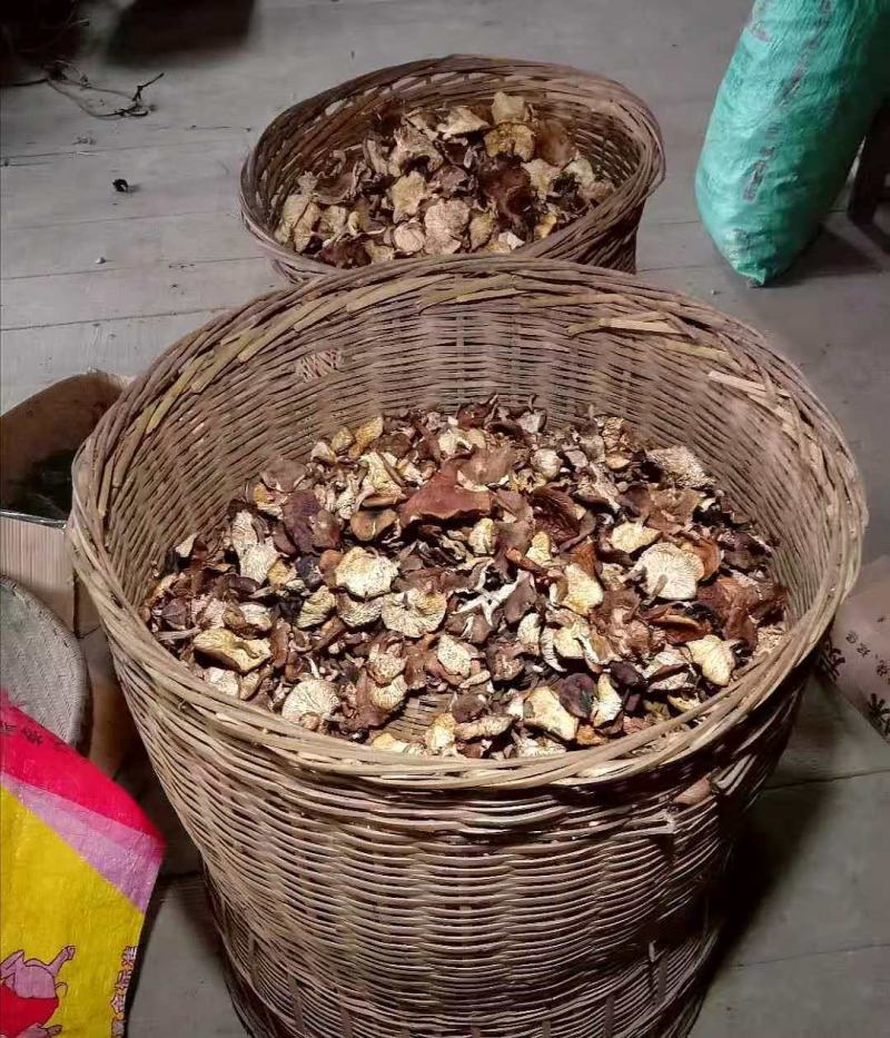 纯正的野生香菇，香，甜，肉嫩…………