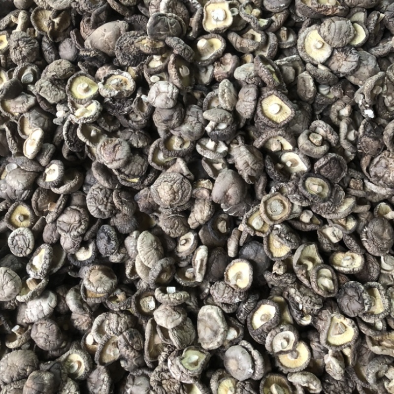河南西峡香菇干货500g蘑菇冬菇干花菇大量现货一手货源