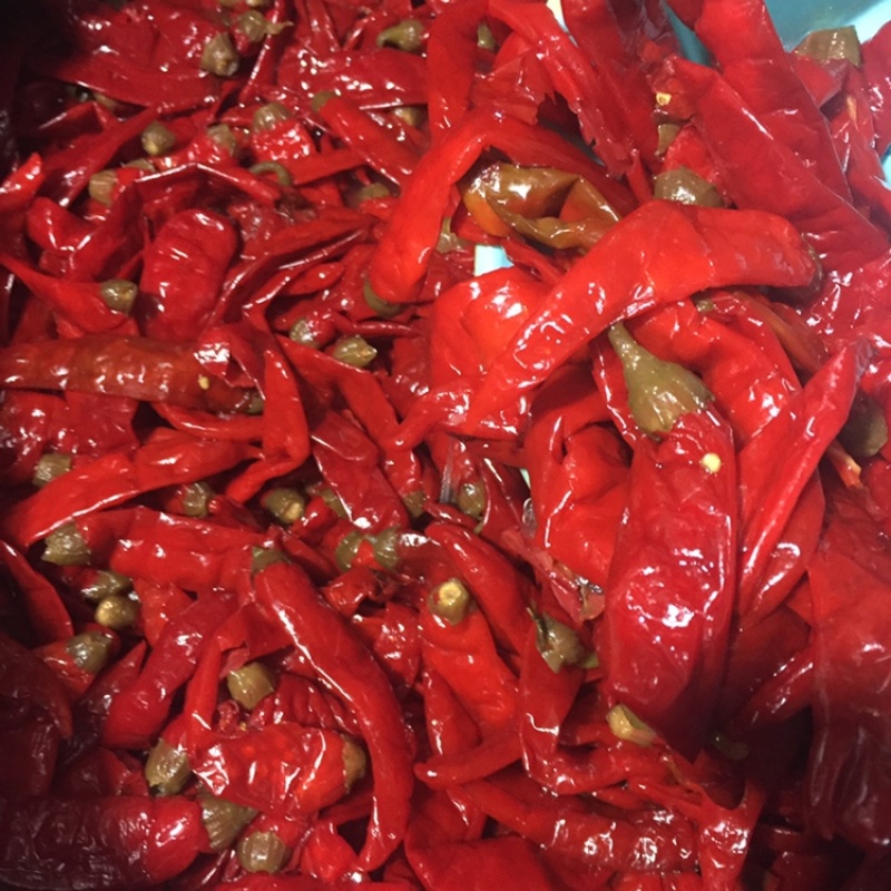 软二荆条泡椒批发酱腌菜