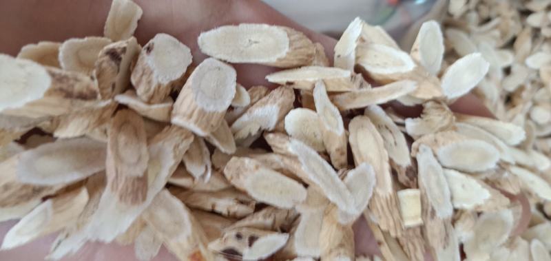 药材批发黄芪欢迎选购