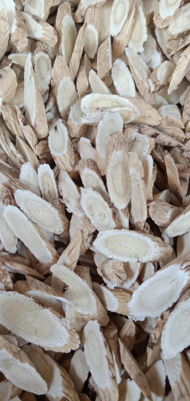 药材批发黄芪欢迎选购