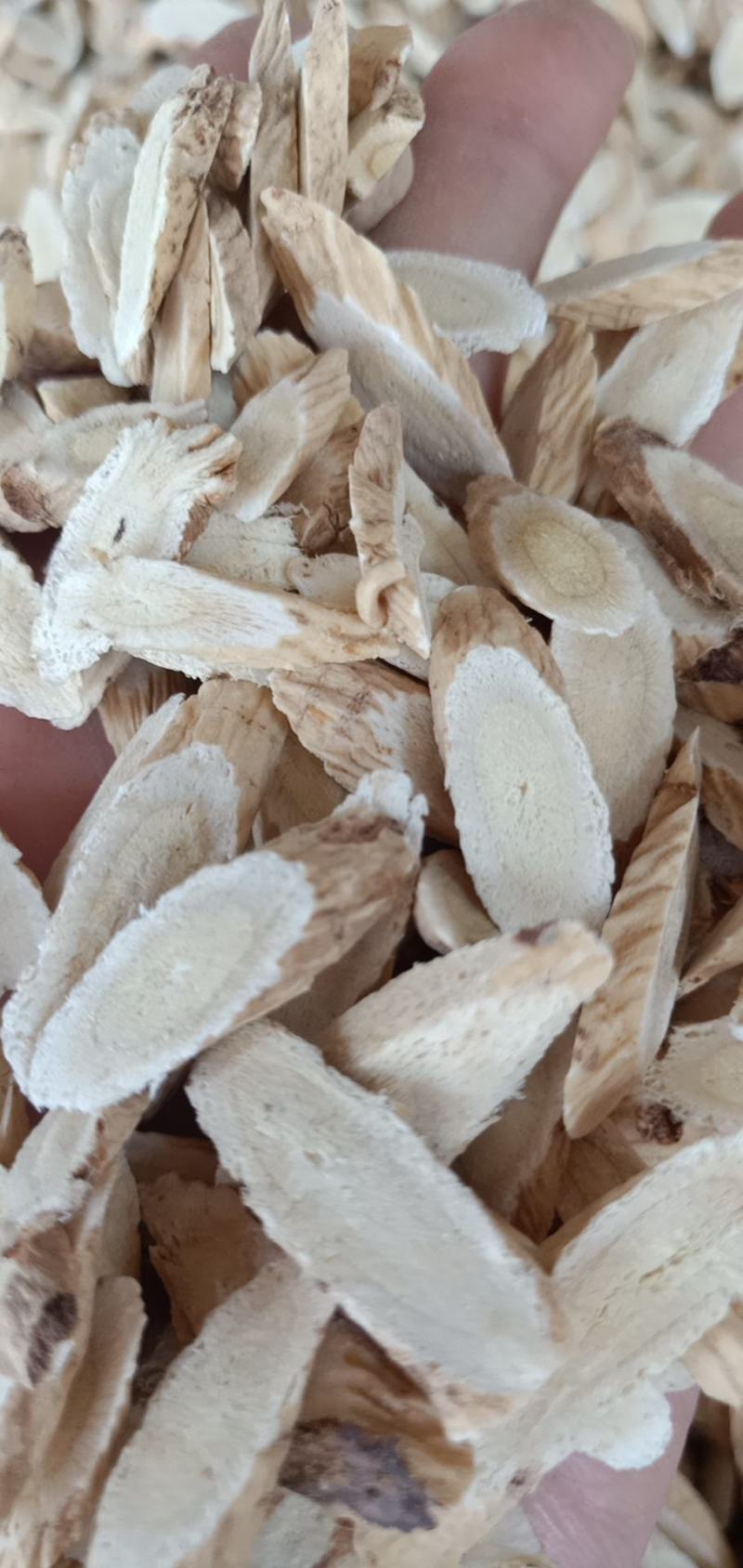 药材批发黄芪欢迎选购