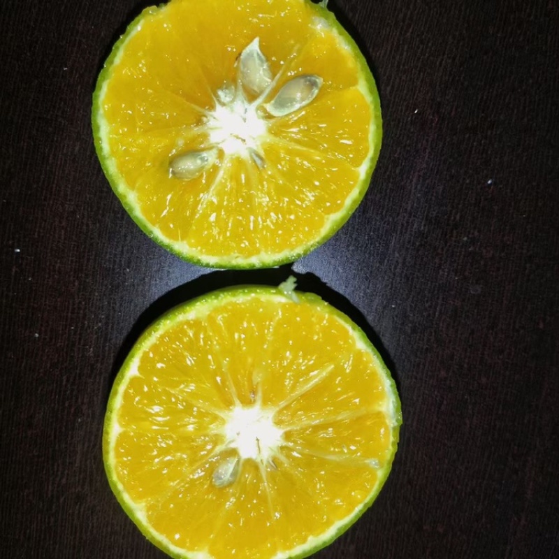广西皇帝柑贡柑，支持一件代发，电商平台，