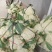 花菜，福建青梗松花菜，一手货源，发往全国各地