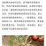 三农40%噻唑膦黄瓜烟草柑橘根结线虫根瘤病线虫药安全不伤