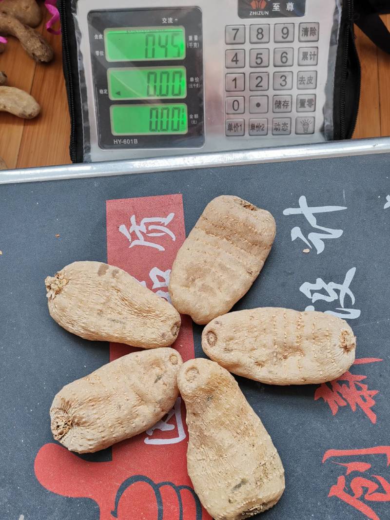 【特价促销，无硫短支甜味】秦岭高山天麻，品质保证