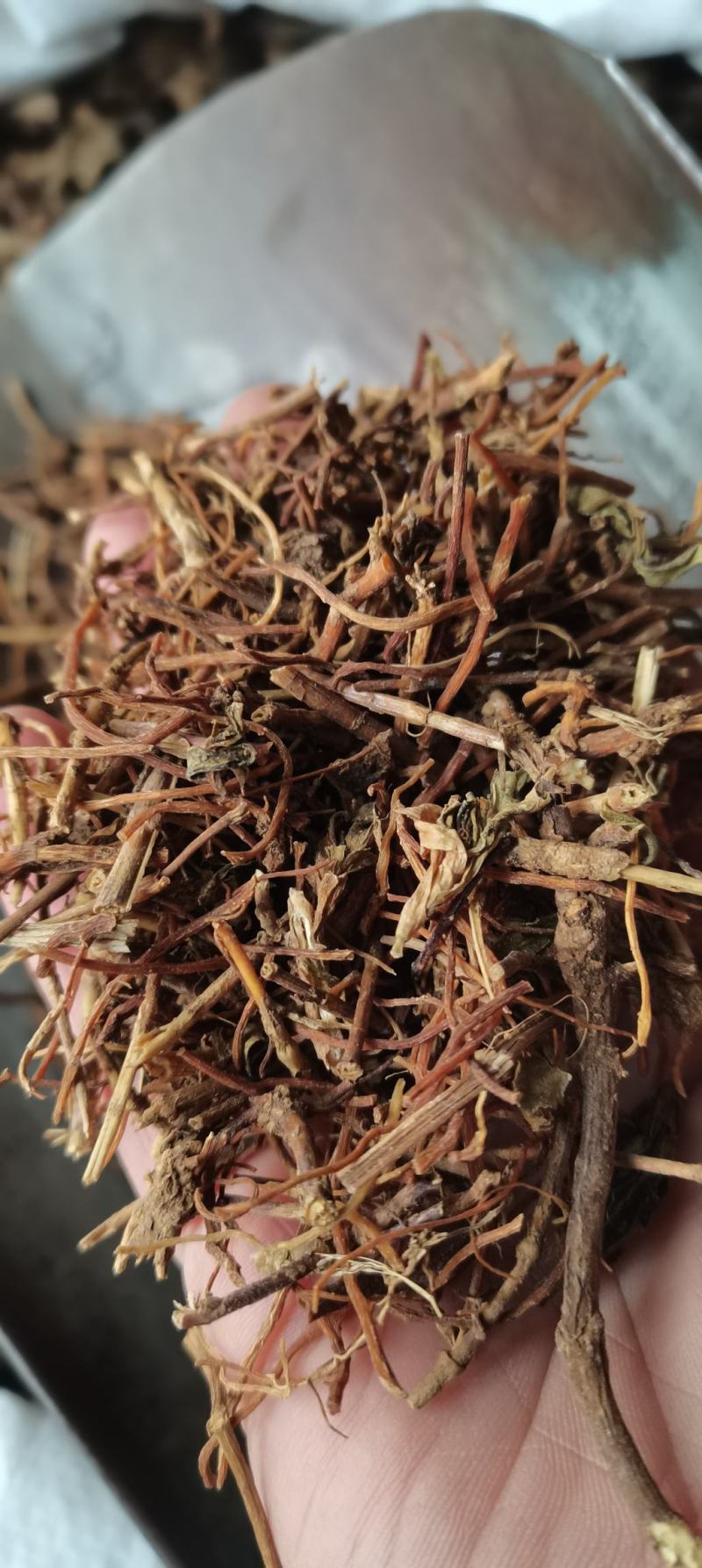 龙胆草南龙胆草北龙胆草无硫中药材包邮