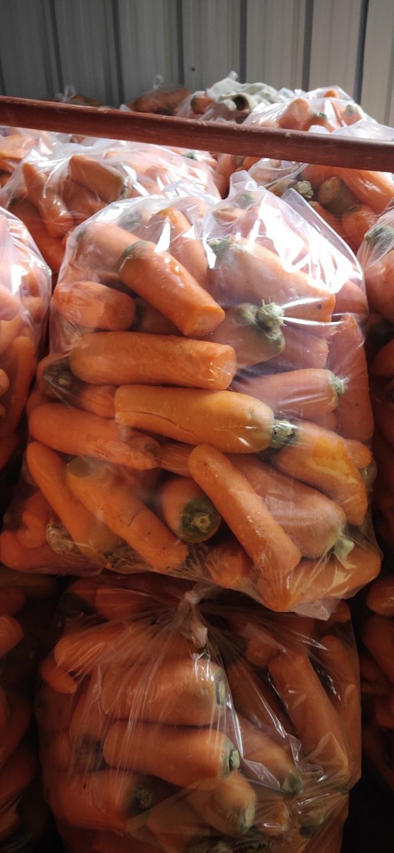 大量供应次品正包，次品乱包京丰一号，己上货源充足。
