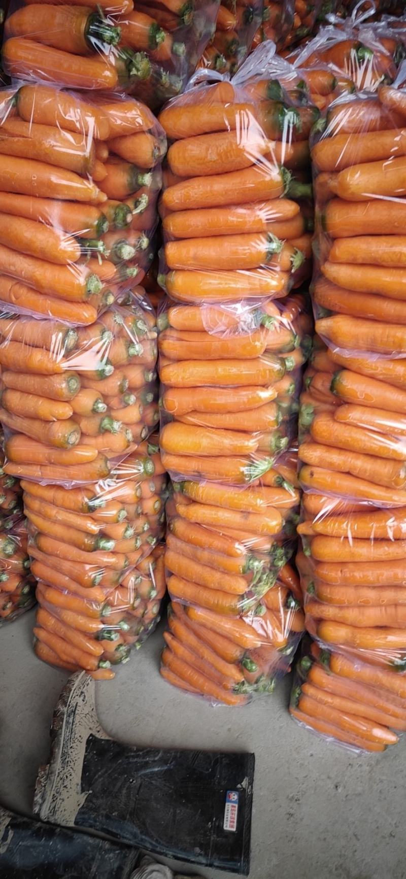 大量供应次品正包，次品乱包京丰一号，己上货源充足。