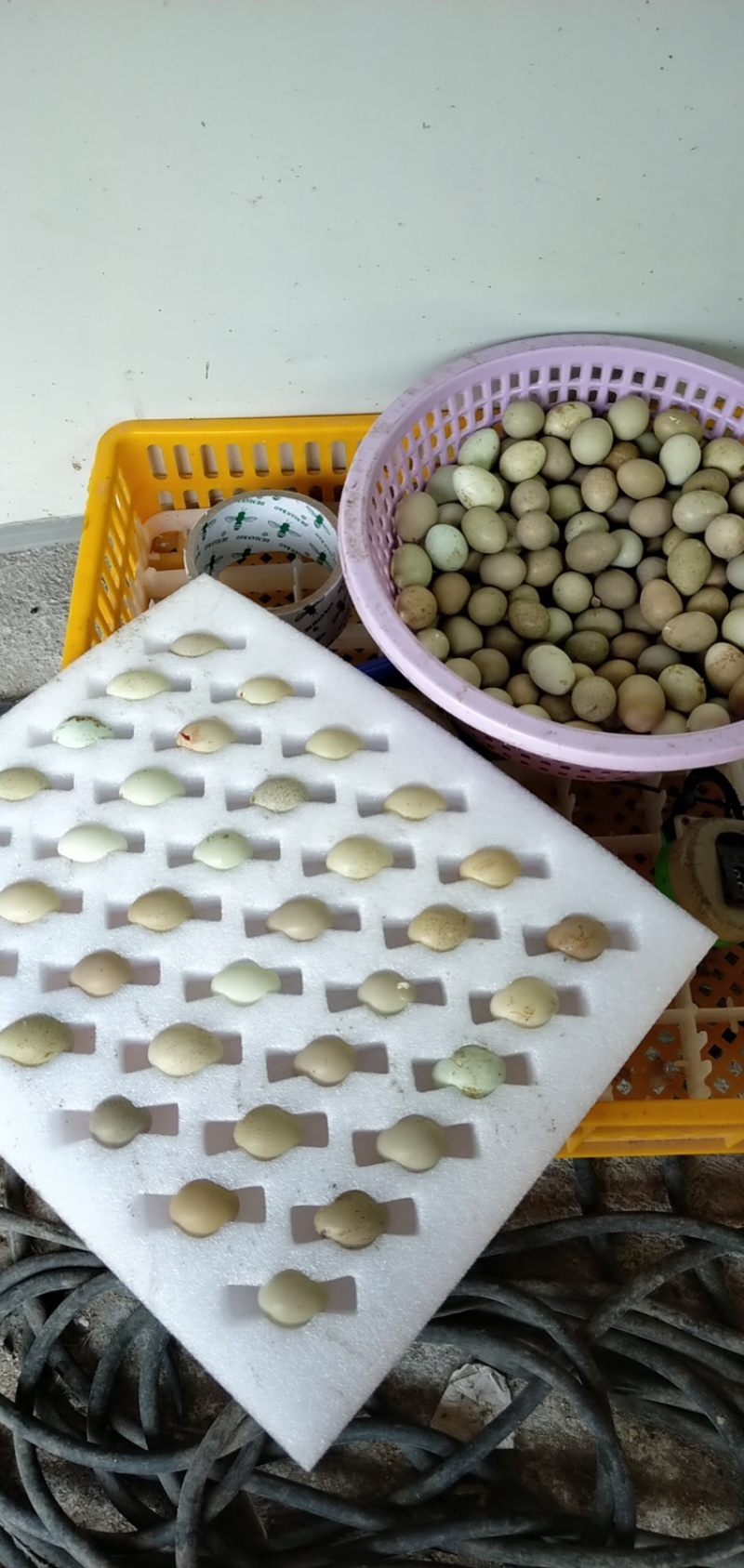 芦丁鸡蛋礼品盒不包邮。包装纸箱定做可以订做需要的下单