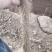临漳铁棍山药2020山药