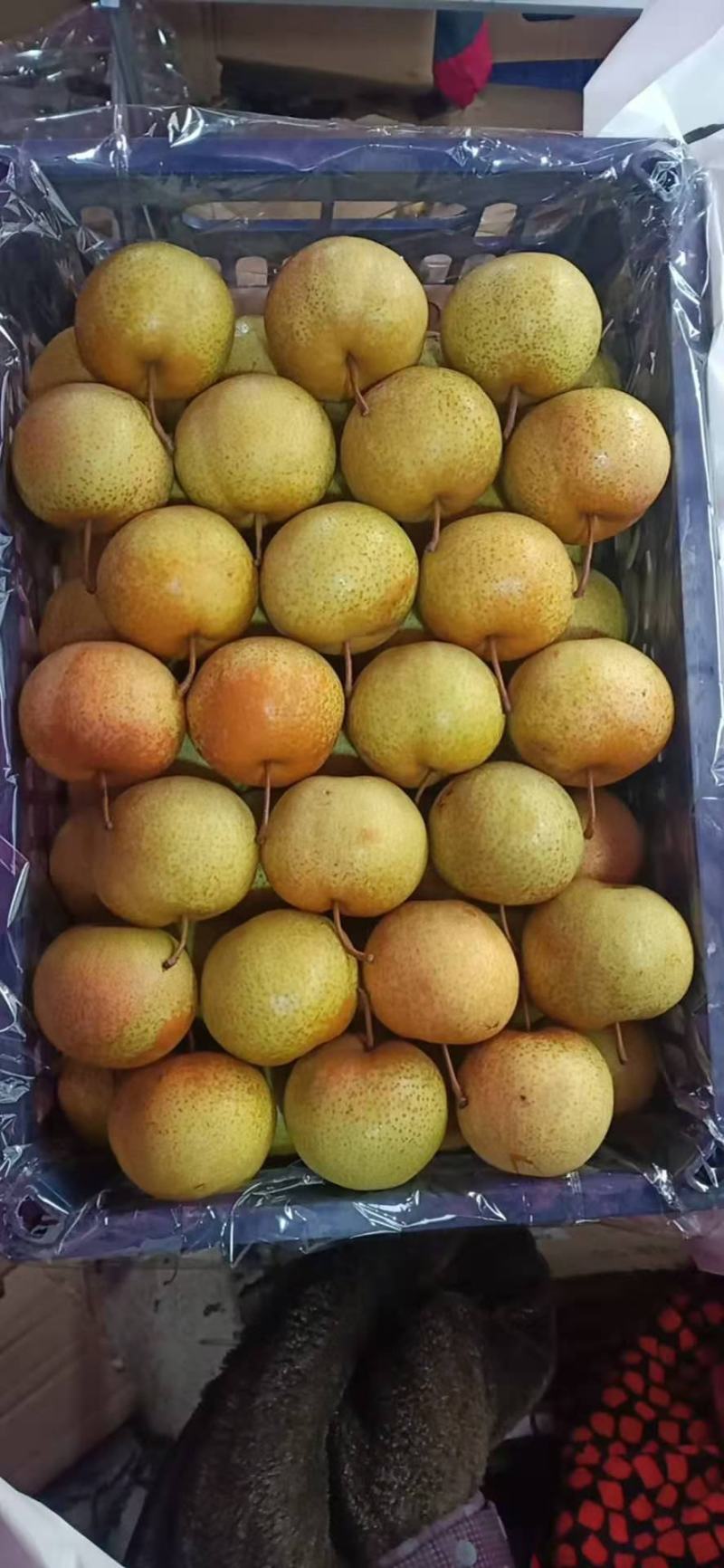 精品花盖梨好货价钱不贵