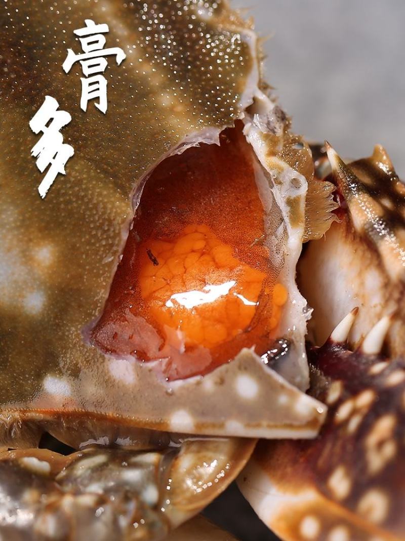 辽宁东港特产呛蟹红膏梭子蟹三点红即食海鲜整只