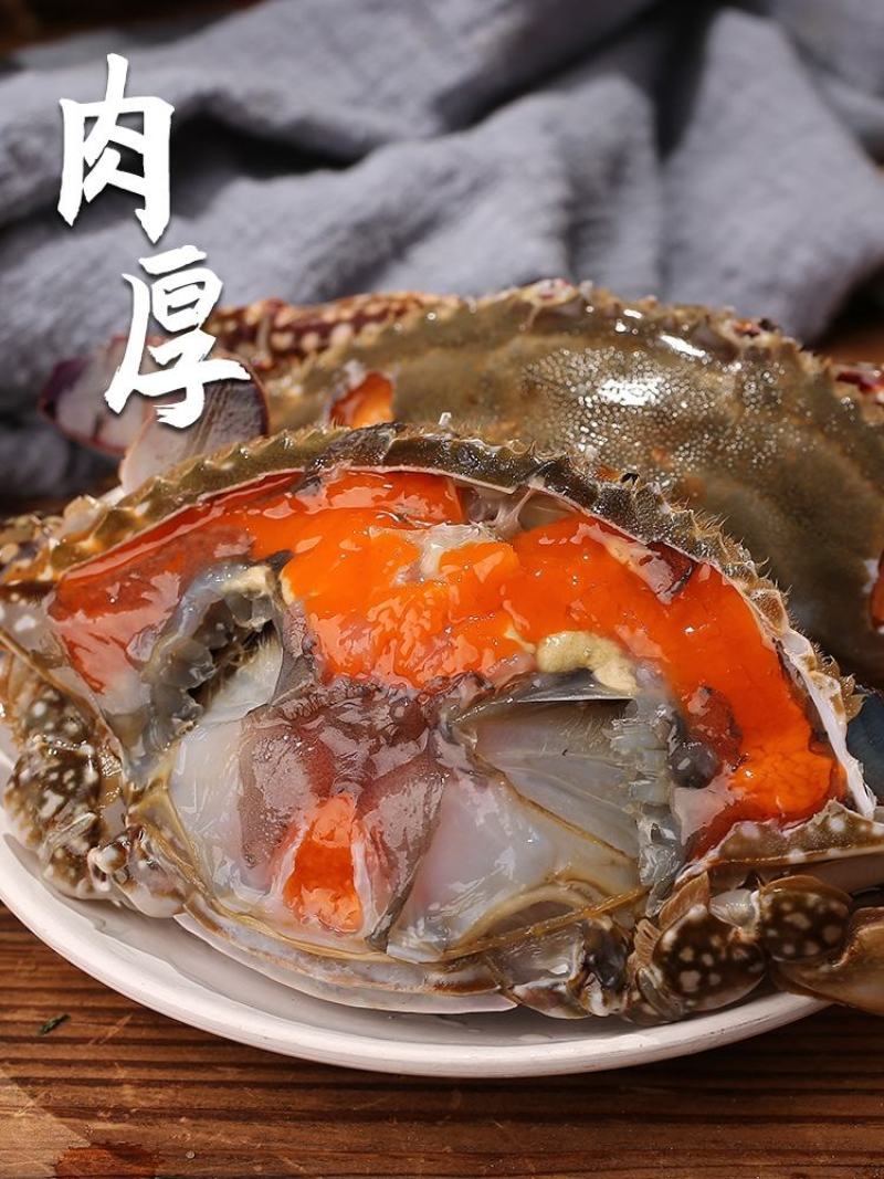 辽宁东港特产呛蟹红膏梭子蟹三点红即食海鲜整只