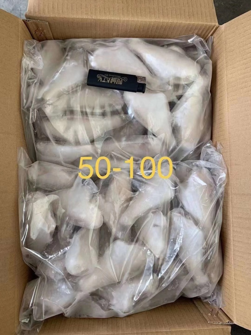单冻小耗儿鱼（干冰薄冰包冰）
