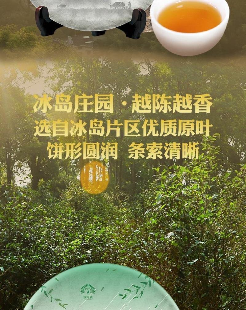 2019头春料冰岛庄园生茶饼单片357克