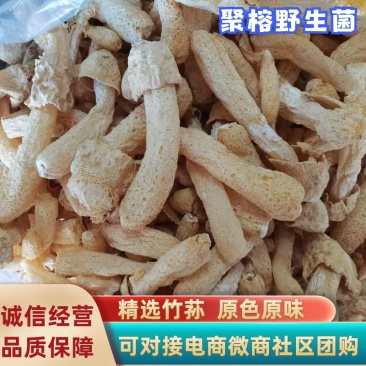 产地直发竹荪干货2021年新货无硫竹荪一手货源保质保量