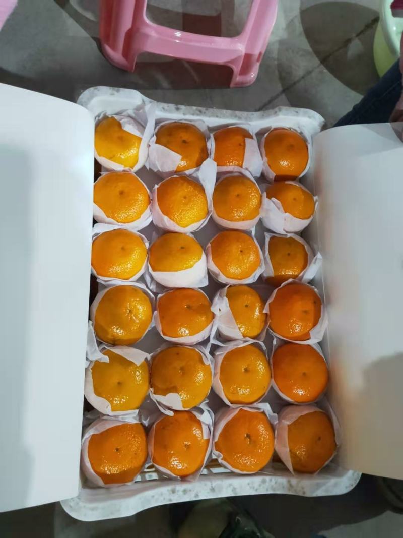沃柑水果中的贵族，开始上市，欢迎各地客商前来采购