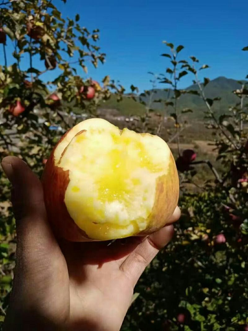 长年代收代办各种精品水果