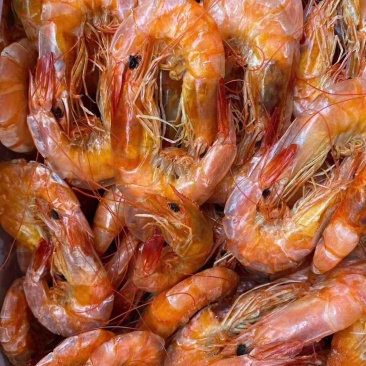 精品优质烤虾海中珍味