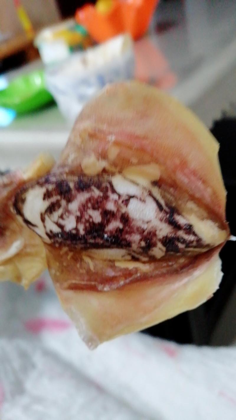 山东日照渔家自晒墨鱼干目鱼干
