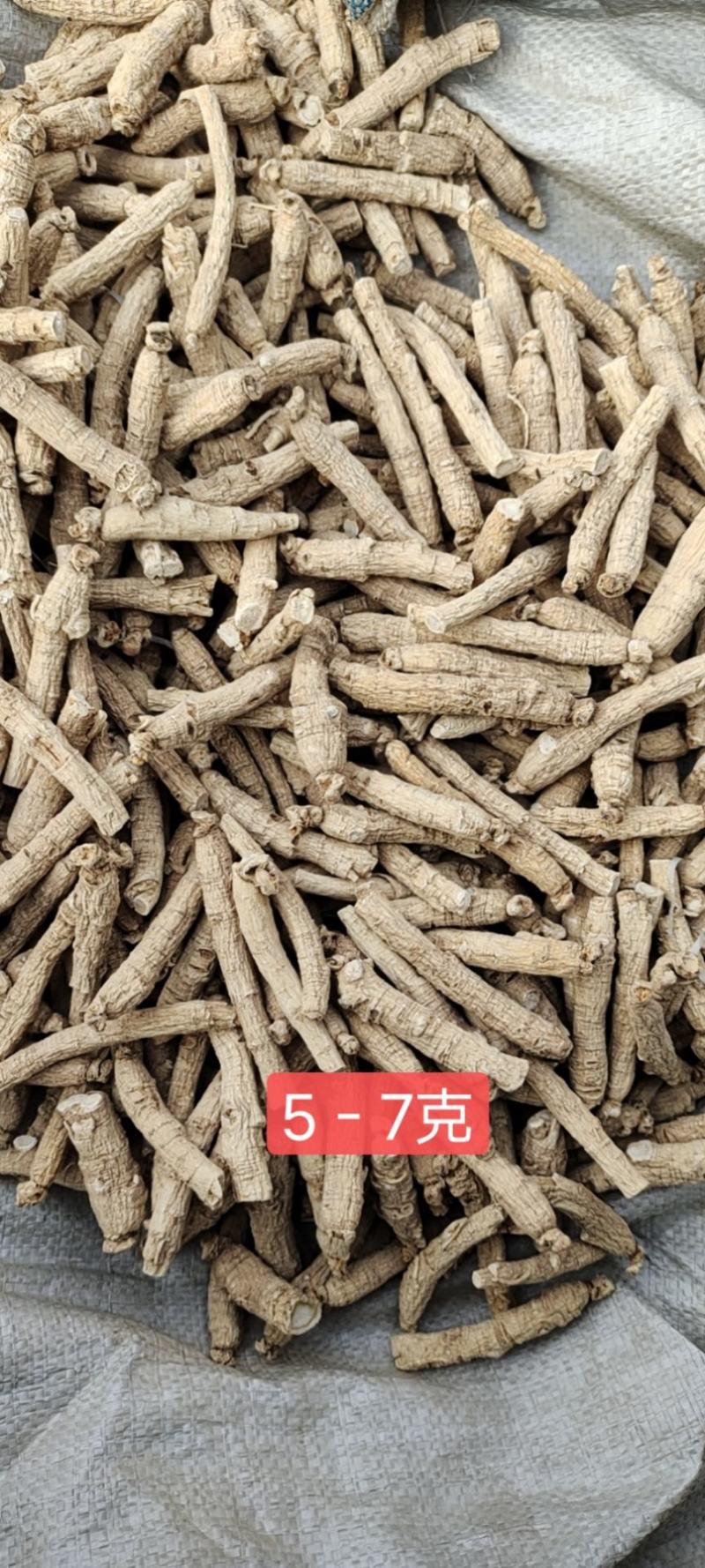 正宗长白山西洋参条花旗参条规格齐全产地批发