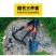 园艺工具种花工具家用小铲子园艺花铲园艺套装种菜铁铲挖土神