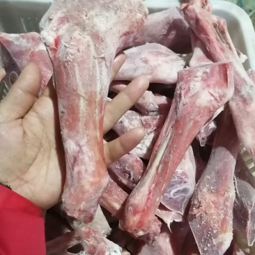羔羊前腱后腱都有货10一斤，可发样品