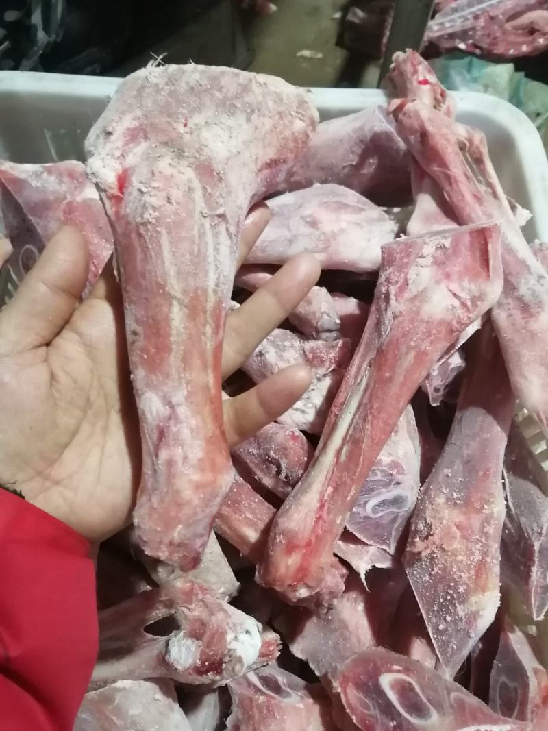 羔羊前腱后腱都有货10一斤，可发样品