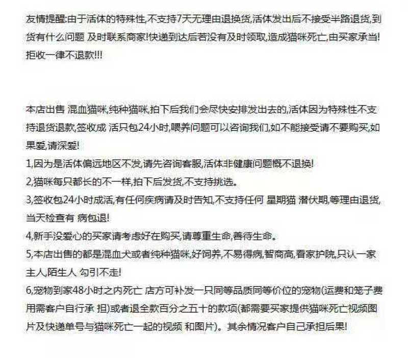 英短蓝猫幼猫猫咪活体蓝白猫美短渐层布偶猫宠物猫咪幼崽小猫