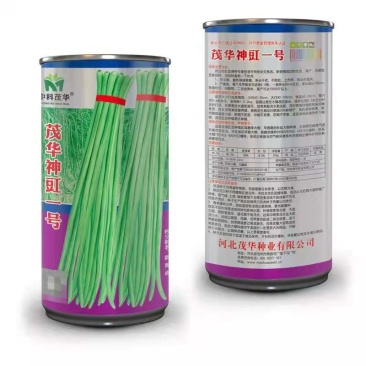 茂华神豇一号豆角种子，嫩绿条长，实心肉厚，春秋露地大棚