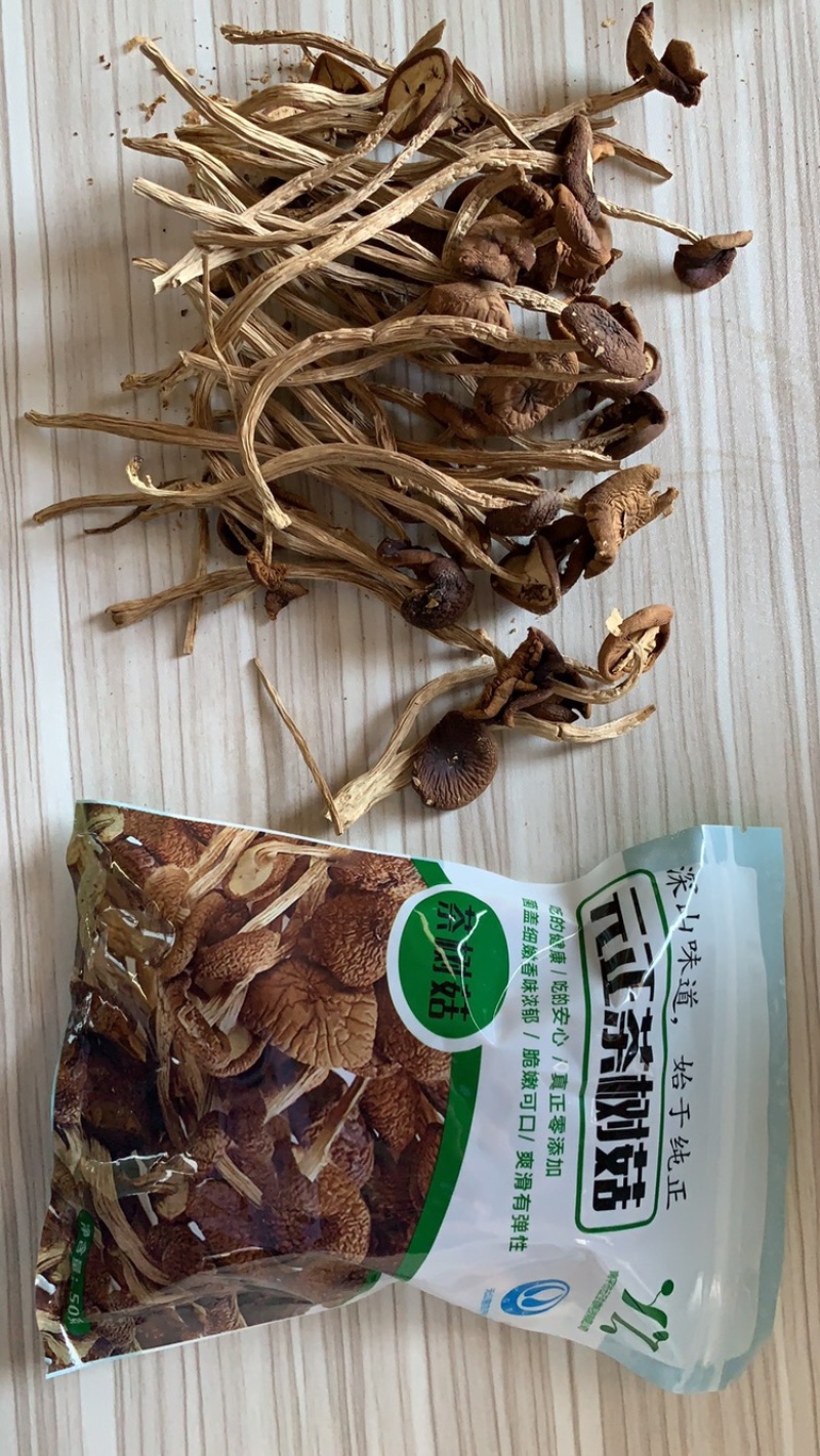 茶树菇特级供应资质齐全