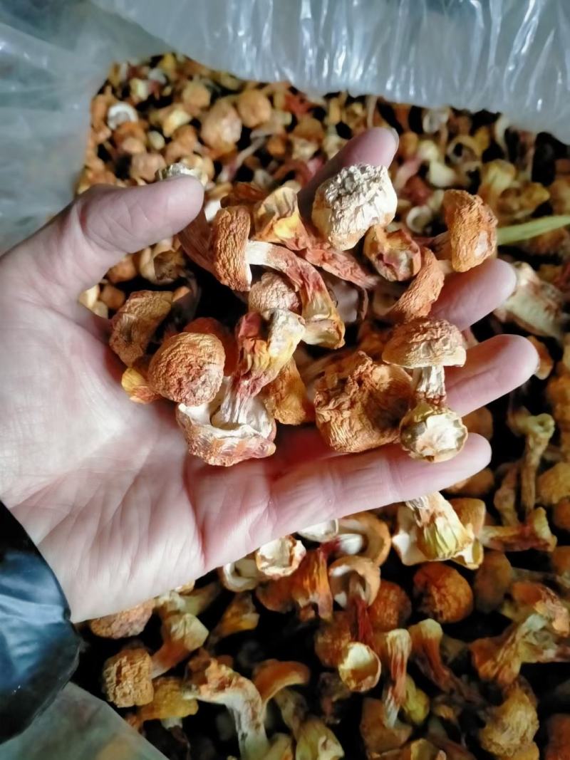 姬松茸:产地直销，(包邮)