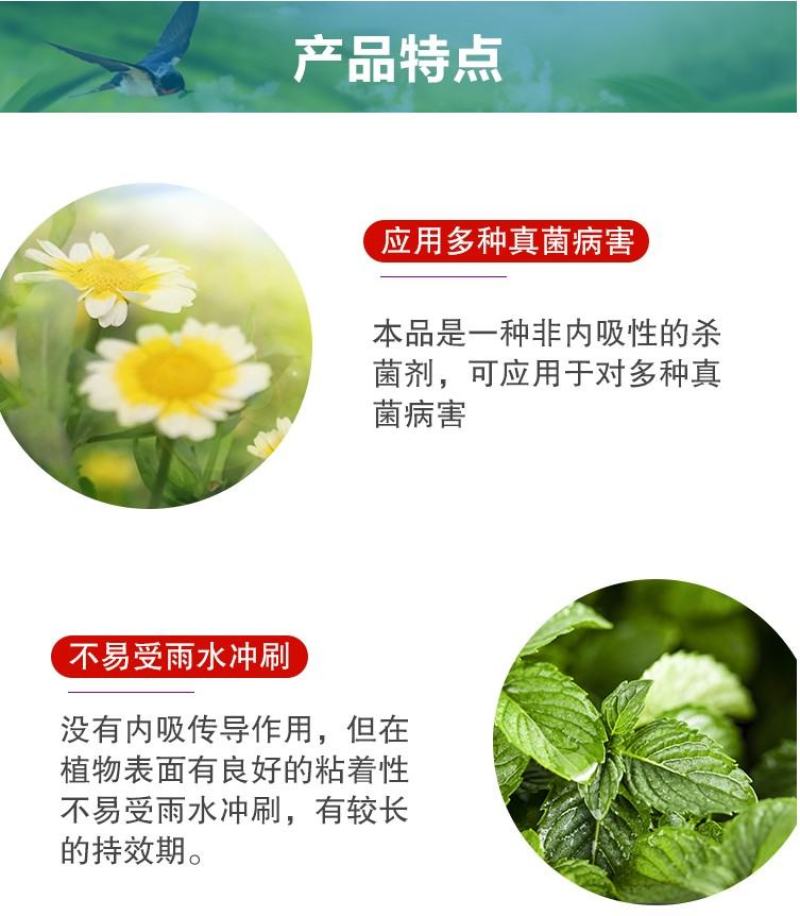 达科宁40%百菌清早疫病叶斑病霜霉病蔬菜花卉杀菌剂