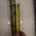 几千吨甘蔗大量上市123456