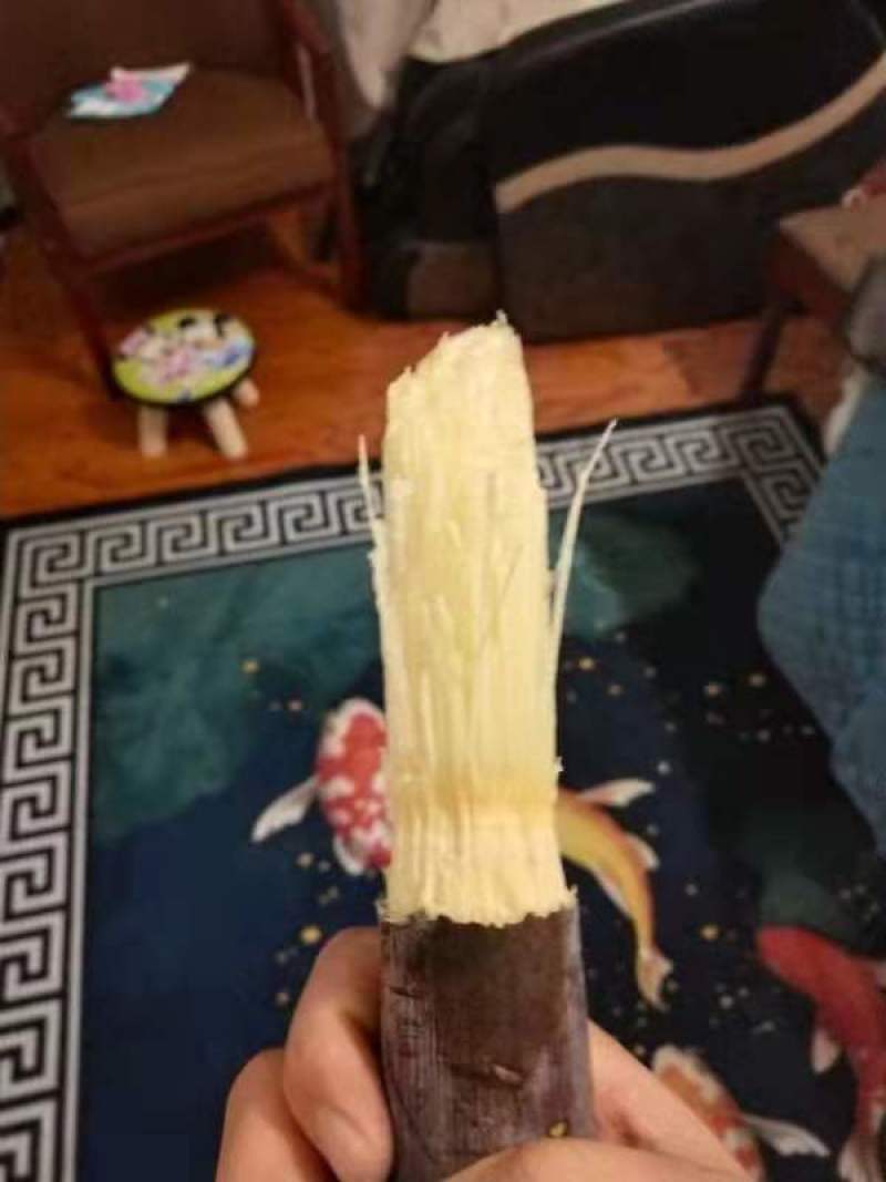 几千吨甘蔗大量上市123456