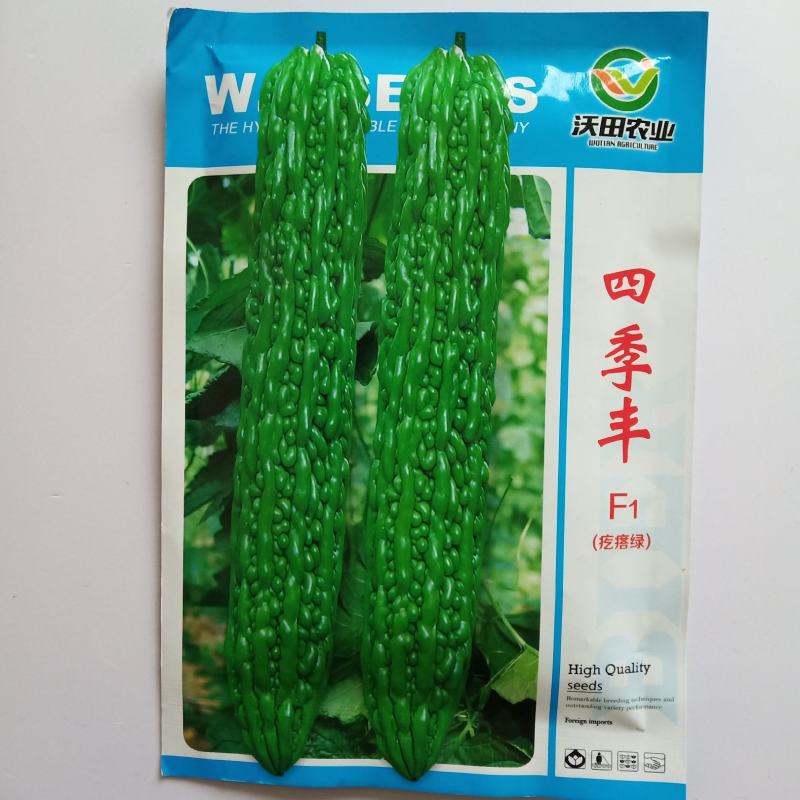 苦瓜种子翠绿苦瓜种子一代杂交品种基地专用品种种子