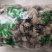 雪莲花藏雪莲干货中药材量大从优2斤起包邮