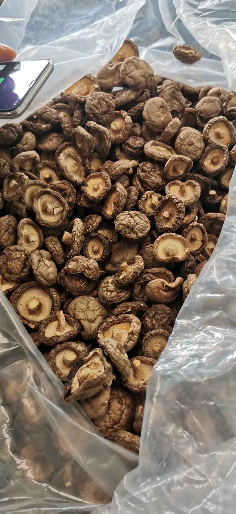 香菇干品，鲜品销售，香菇菌种，木耳菌棒