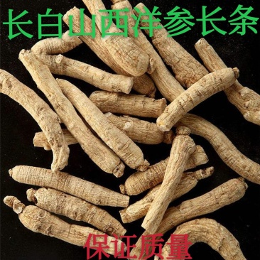 正宗长白山西洋参条花旗参条规格齐全产地批发