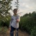 正宗韩城大红袍黄盖狮子头花椒苗现挖现发自家苗圃