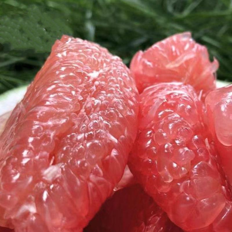 泰国红宝石柚，甜度高，汁水足，基地直供，品质有保证