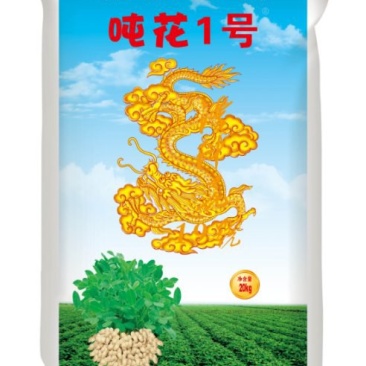 吨花一号高产花生原种