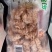 糖醋里脊肉了肯德基冷冻半成品小零食休闲食品